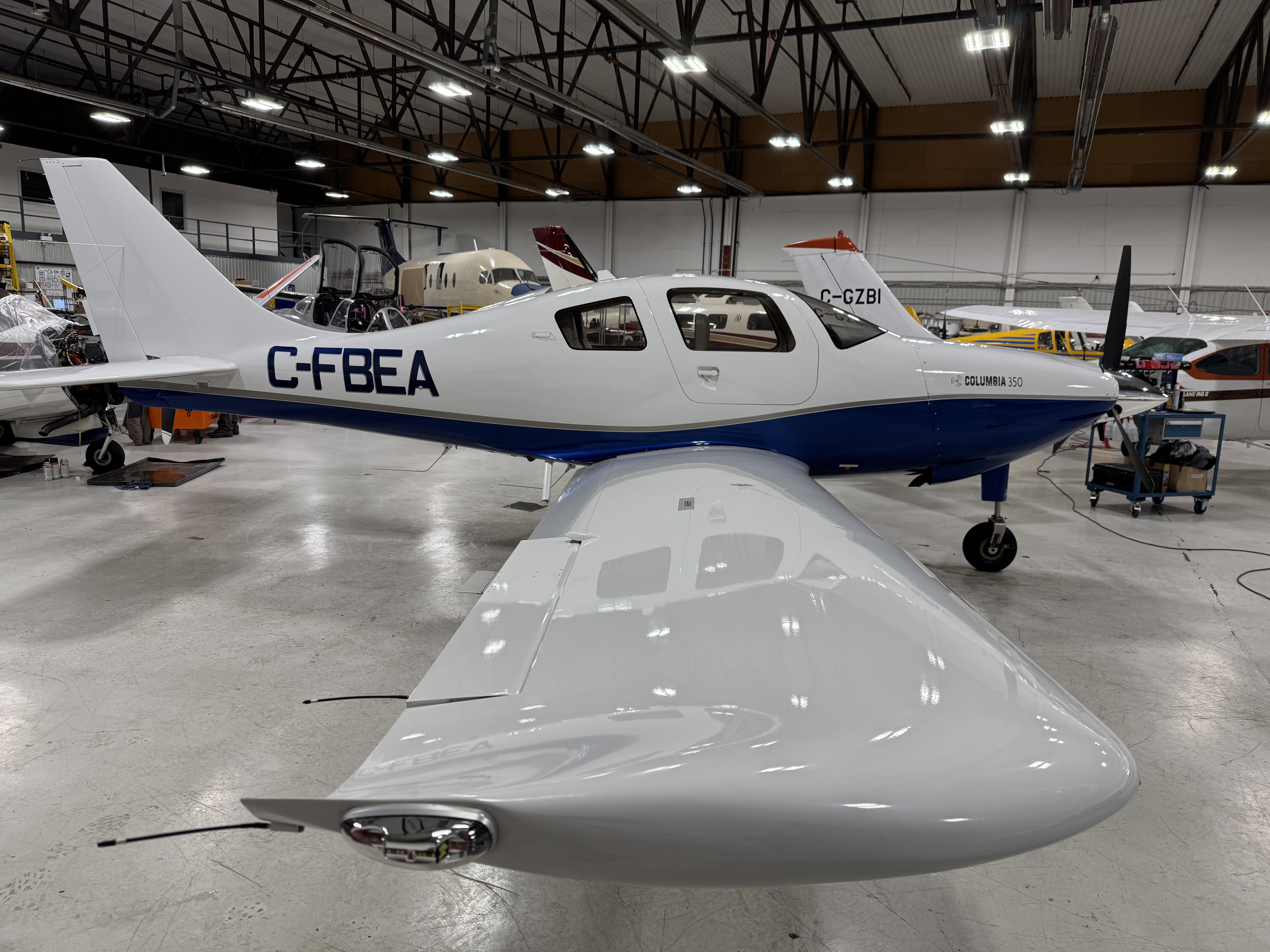 Cessna 340 de-icing boot treatment aircraft detailing Ontario