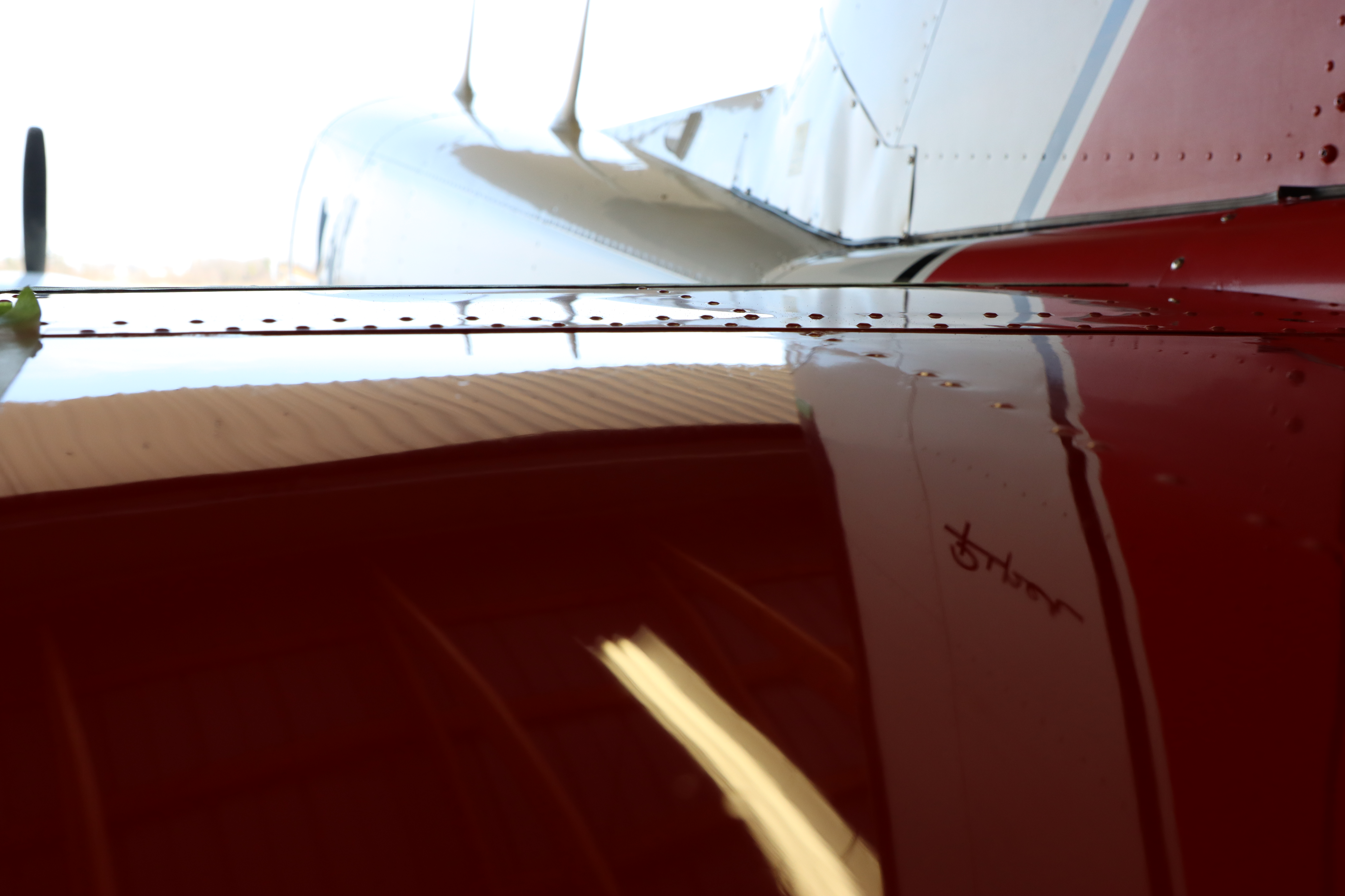 Aircraft paint correction finished gloss result GTA